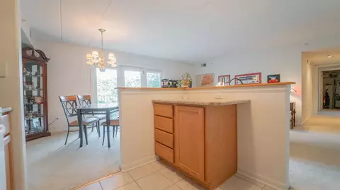 905 Swan Dr #1-B, Dyer, IN 46311 photo 9