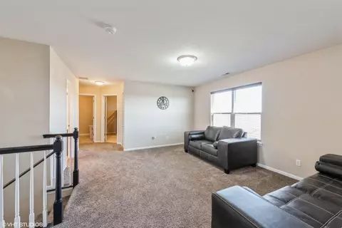 10287 Rolling Meadows Ln, Dyer, IN 46311 photo 11