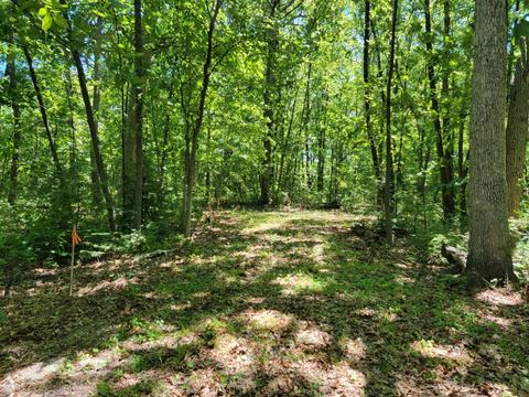 12287 Clark St, Crown Point, IN 46307 photo 16