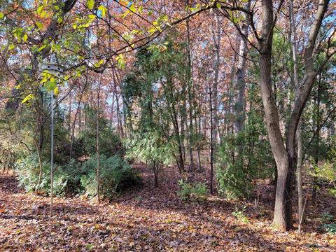 12287 Clark St, Crown Point, IN 46307 photo 12