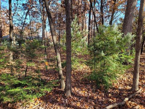 12287 Clark St, Crown Point, IN 46307 photo 14