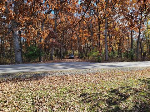 12287 Clark St, Crown Point, IN 46307 photo 4