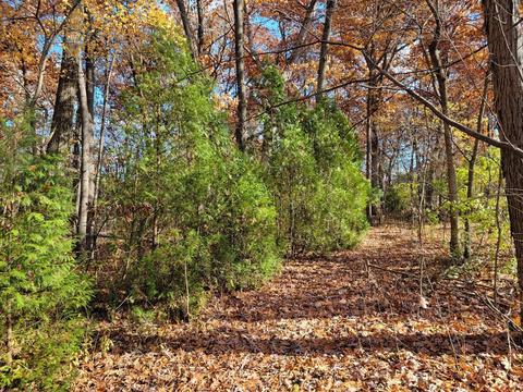12287 Clark St, Crown Point, IN 46307 photo 9
