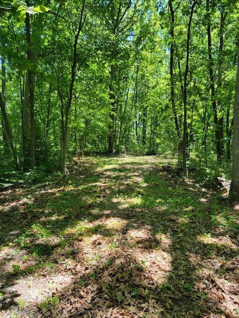 12287 Clark St, Crown Point, IN 46307 photo 2