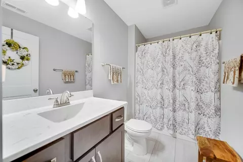 10338 Red Rock Pl, Dyer, IN 46311 photo 18