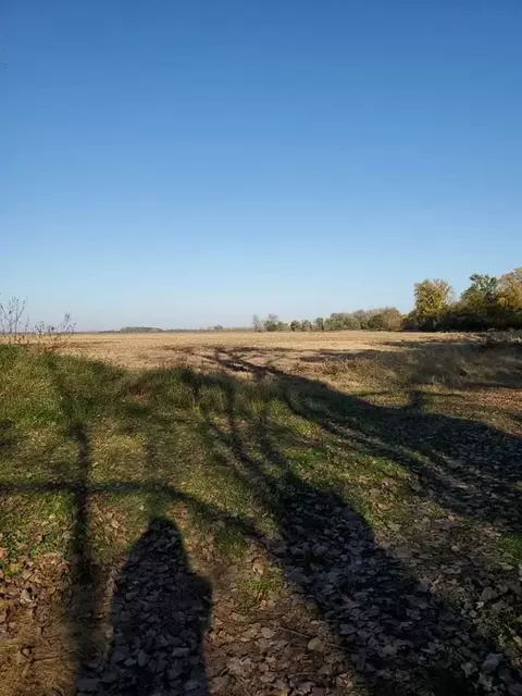 13633 S 50, Hamlet, IN 46532 photo 30
