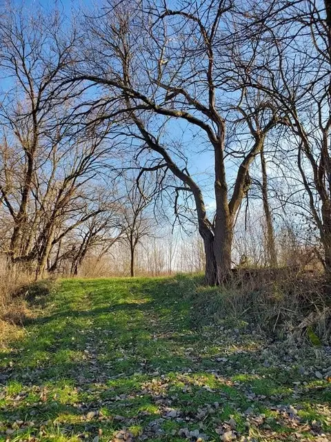 13633 S 50, Hamlet, IN 46532 photo 31