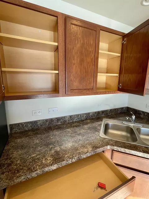 11103 Vermont Cir, Crown Point, IN 46307 photo 13