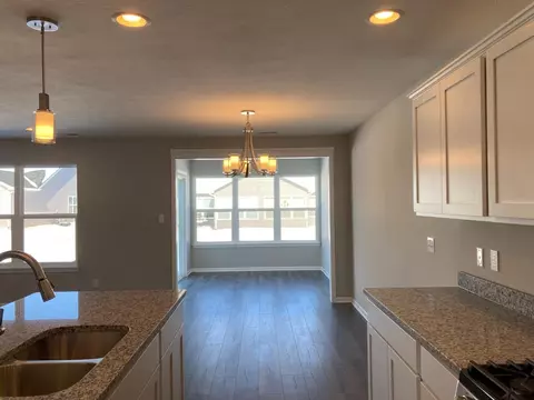 876 E 119th Pl, Crown Point, IN 46307 photo 7