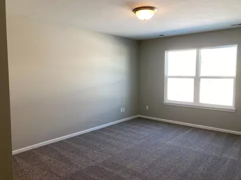 876 E 119th Pl, Crown Point, IN 46307 photo 23