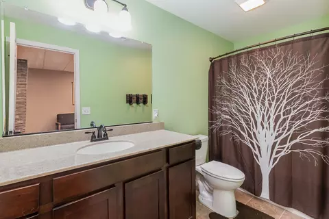 9832 Trinity Ct, De Motte, IN 46310 photo 26