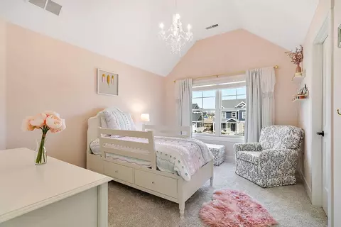 13005 Red Lily Way, Saint John, IN 46373 photo 20