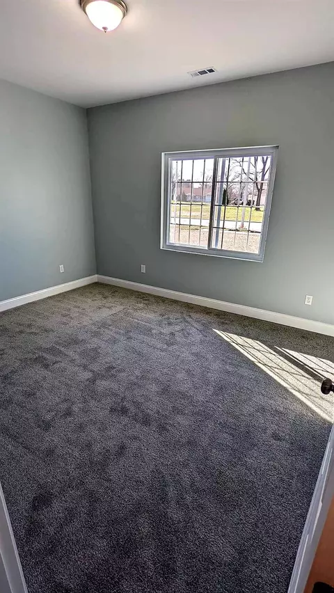 5233 Torrence Ave, Hammond, IN 46320 photo 7