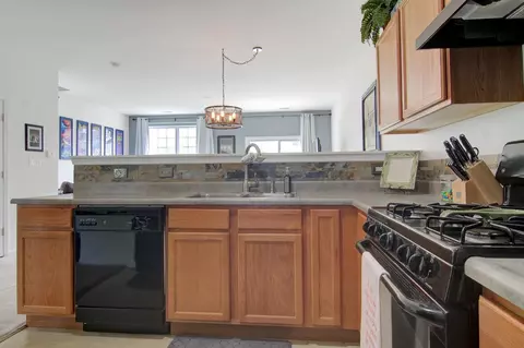 893 Flagstone Dr, Dyer, IN 46311 photo 11