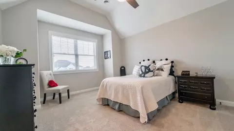 12980 Red Lily Way, Saint John, IN 46373 photo 41