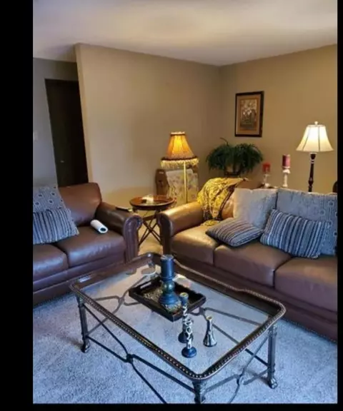 1710 Camellia Dr #D2, Munster, IN 46321 photo 5