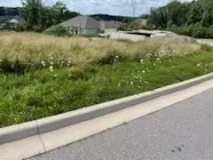 911 Betty Ln, Crown Point, IN 46307 photo 4
