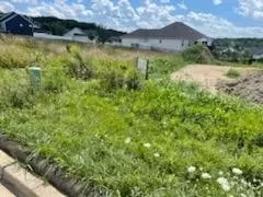 911 Betty Ln, Crown Point, IN 46307 photo 5