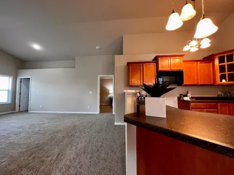 11221 Pike Pl, Winfield, IN 46307 photo 11