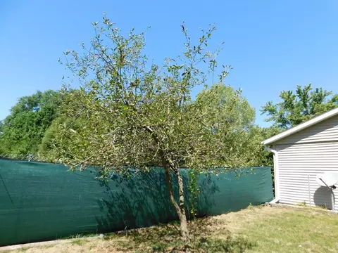 9589 N 490, De Motte, IN 46310 photo 6