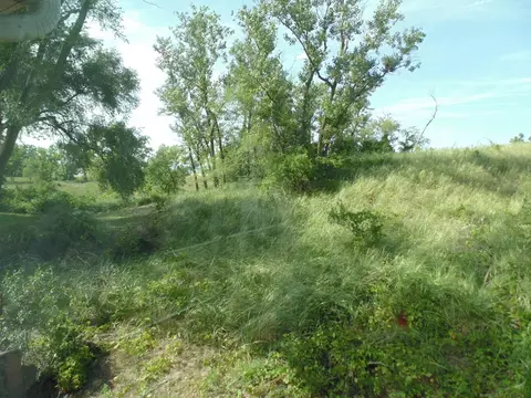 740 N Henry St, Gary, IN 46403 photo 67