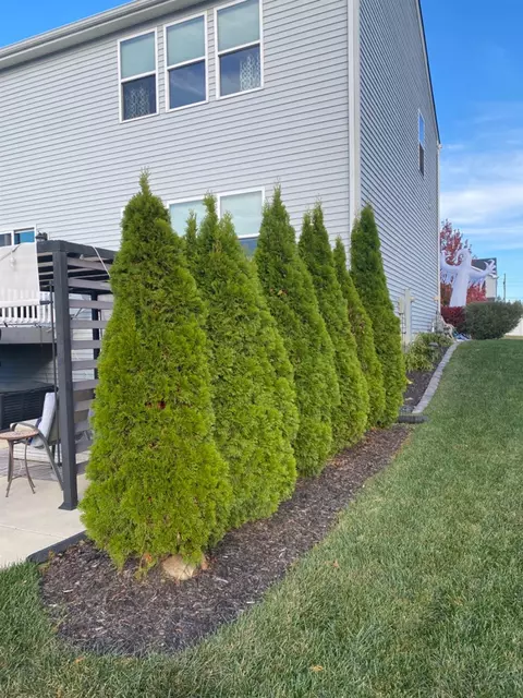 13150 Hayes St, Crown Point, IN 46307 photo 3