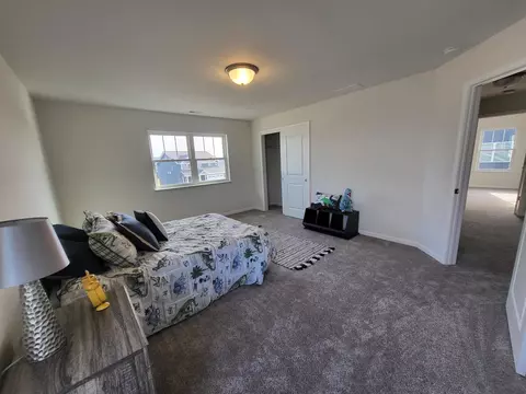 10616 White Sand Ln, Dyer, IN 46311 photo 19