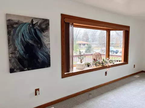 9013 Lee Pl, Crown Point, IN 46307 photo 14