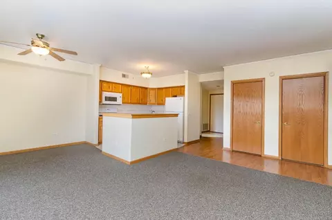 812 Swan Dr #3C, Dyer, IN 46311 photo 3