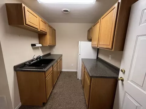 491 E Chambers, Bloomington, IN 47404 photo 65
