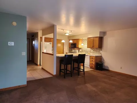173 Summertree Dr, Porter, IN 46304 photo 5