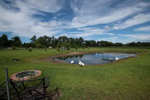 10147 N 500, Wheatfield, IN 46392 photo 6