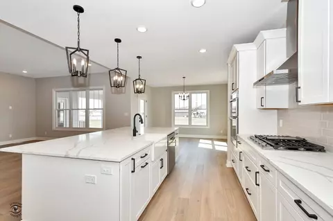 9751 Tall Grass Trl, Saint John, IN 46373 photo 13