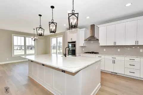 9751 Tall Grass Trl, Saint John, IN 46373 photo 11