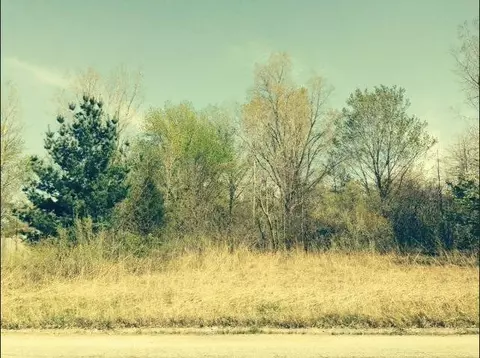 0 Springland Ave, Michigan City, IN 46360