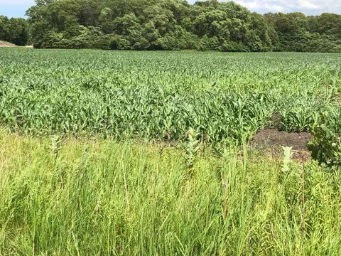 0 St Road 55, De Motte, IN 46310