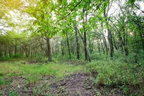 16611- Lot 77 Noble St, Lowell, IN 46356