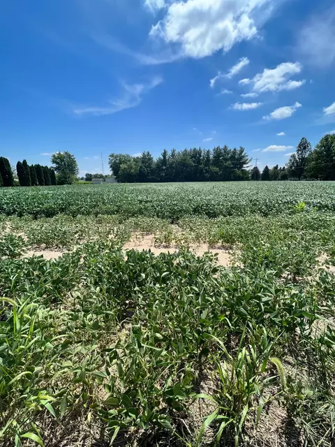 0- Lot 1 Wood Rd, Rensselaer, IN 47978