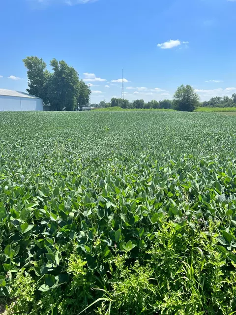 0- Lot 4 Wood Rd, Rensselaer, IN 47978