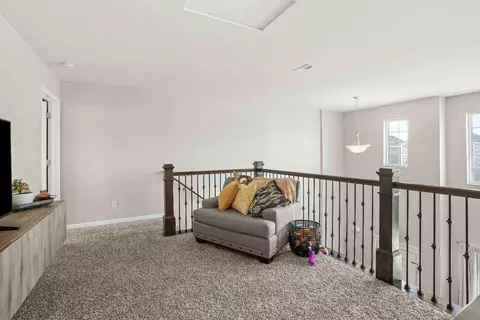 1059 E 117th Pl, Crown Point, IN 46307 photo 15