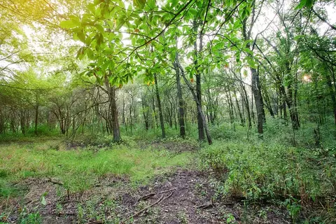 4351- Lot 19 Willard Ln, Lowell, IN 46356