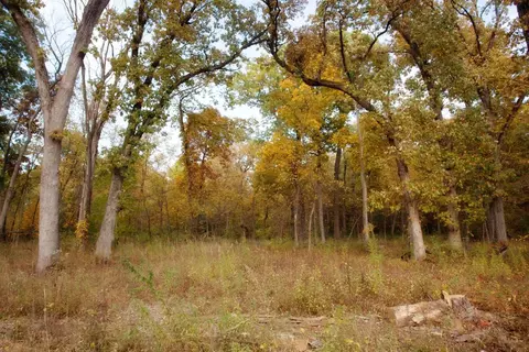 3820- Lot 83 167th Ave, Lowell, IN 46356