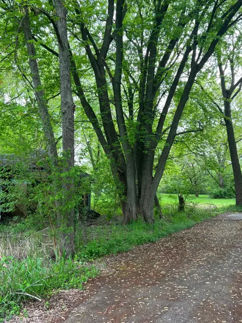 132 James Rd, Griffith, IN 46319 photo 2