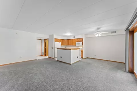 803 Swan Dr #1-D, Dyer, IN 46311 photo 5