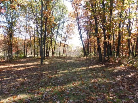 10147 Crane Ct, Wheatfield, IN 46392 photo 5
