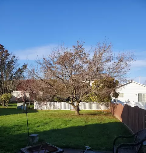 1702 Chestnut Dr, Crown Point, IN 46307 photo 5