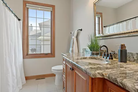 17 Carnaby Pl, Munster, IN 46321 photo 10