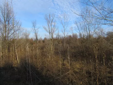 0- Lot 11 Grant St, Merrillville, IN 46410