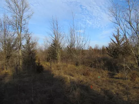 0- Lot 12 Grant St, Merrillville, IN 46410
