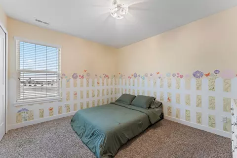 11052 Summerlin St, Cedar Lake, IN 46303 photo 34